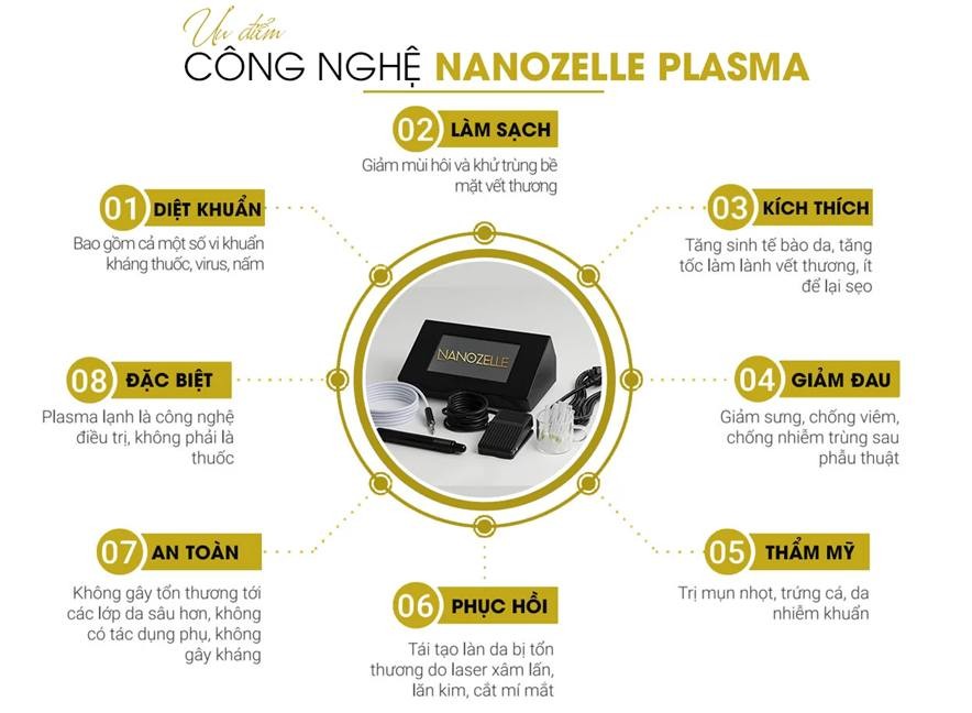 nanozelle2-1698144459.jpg