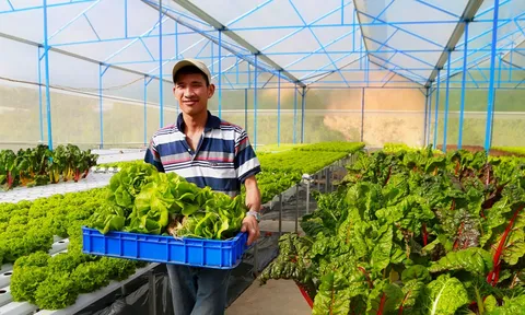 Dự án tài trợ nông nghiệp: "Hỗ trợ nông dân tạo cơ hội bền vững"