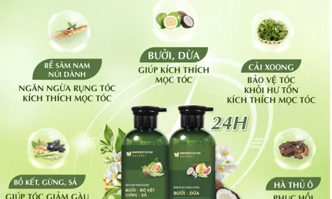 Nam Dược Cỏ Cây - Bí quyết phục hồi da đầu và nang tóc chuyên sâu Kết hợp công nghệ sinh học Nhật Bản và chiết xuất thảo dược Pháp