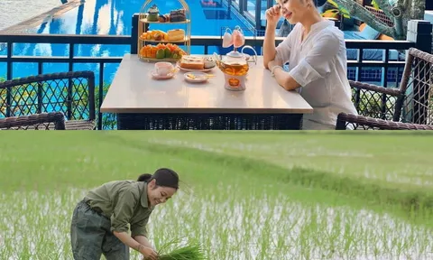 Về rừng sống, vợ chồng trẻ an nhàn tận hưởng từng khoảnh khắc quý giá